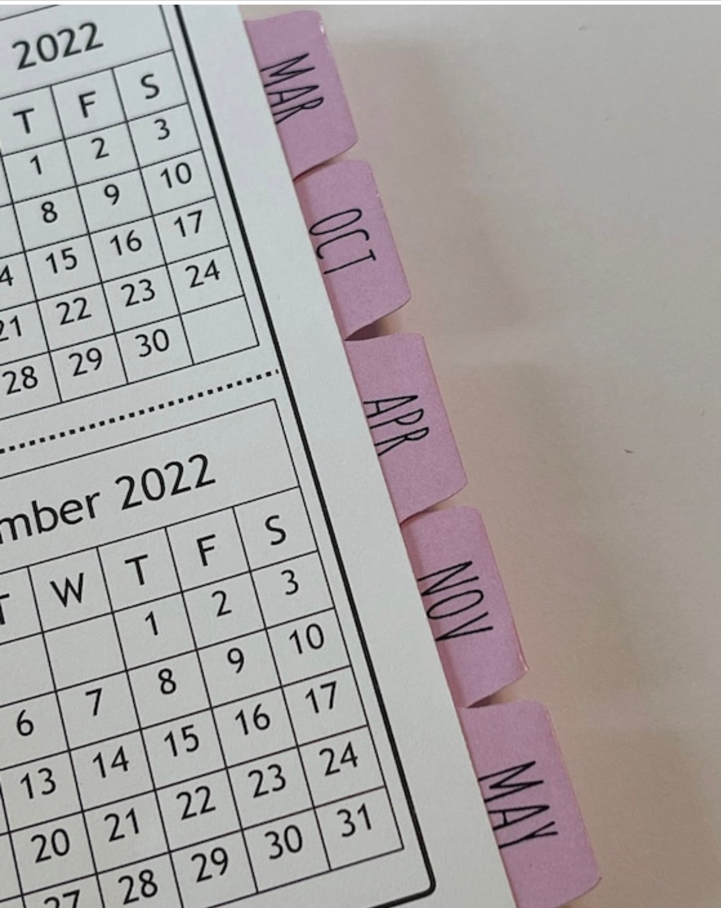 LOTS OF LASHES - PINK DESIGN - Standard 12 Month Appointment Book - Start Any Month - 3 Sizes with Optional Income & Expenses Tracking