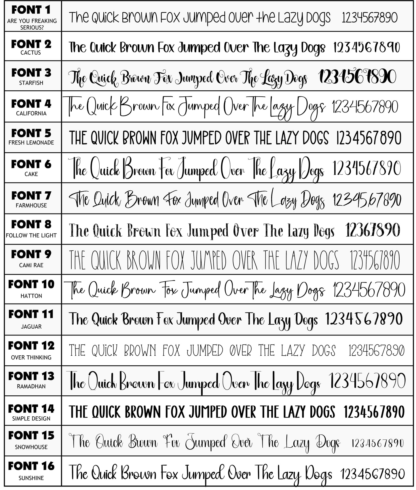 DAISY ON POSTCARD DESIGN- Standard 12 Month Appointment Book - Start Any Month - 3 Sizes with Optional Income & Expenses Tracking