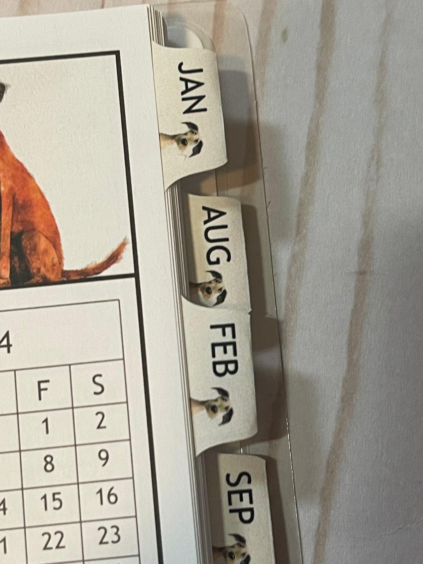 ILLUSTRATED PETS DESIGN - Standard 12 Month Appointment Book - Start Any Month - 3 Sizes with Optional Income & Expenses Tracking