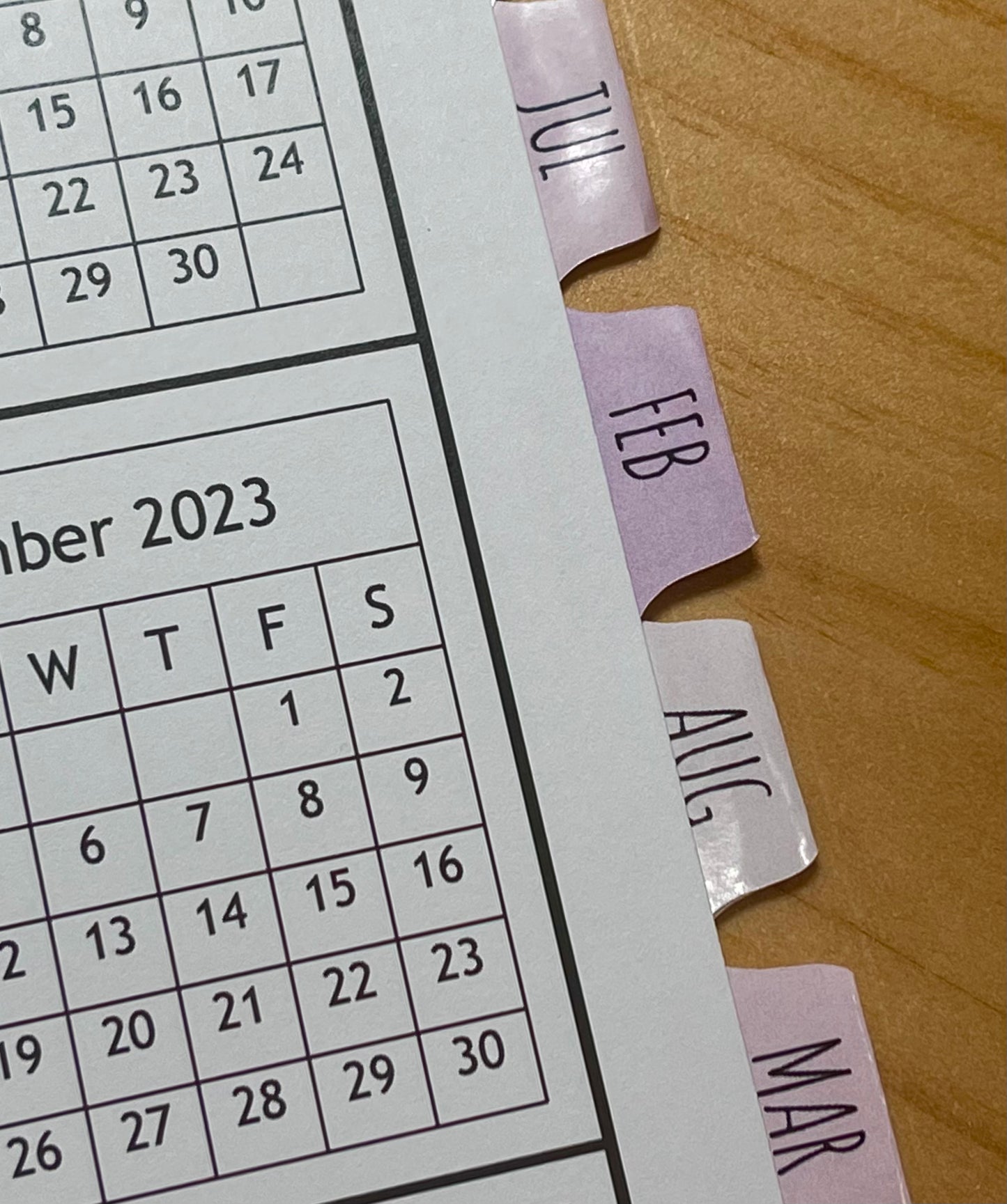 LOTS OF LASHES - PINK DESIGN - 12 Month Dated Appointment Book With Business Organizer/Planner + UPGRADE OPTIONS