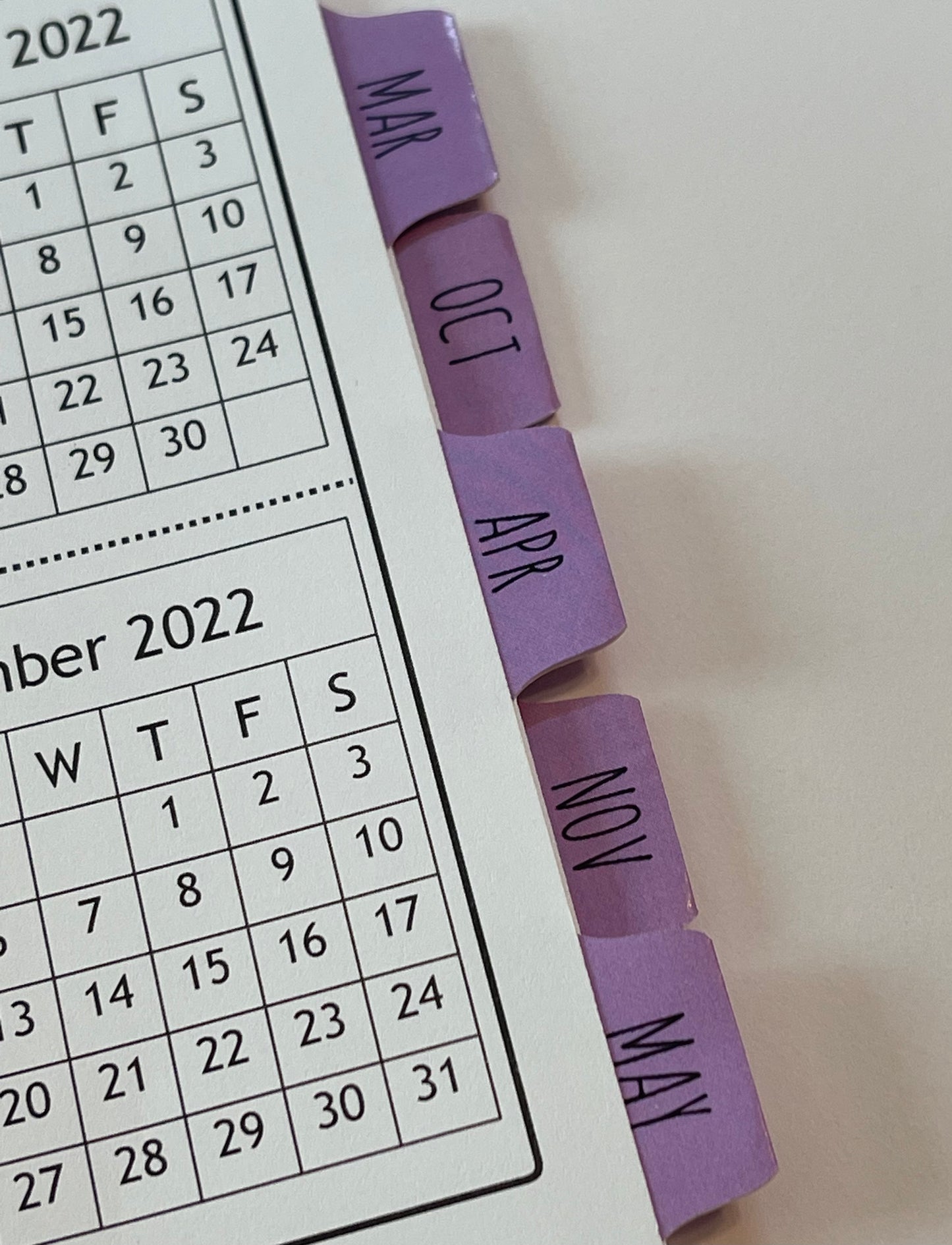 LOTS OF LASHES - PURPLE DESIGN - 12 Month Dated Appointment Book With Business Organizer/Planner + UPGRADE OPTIONS