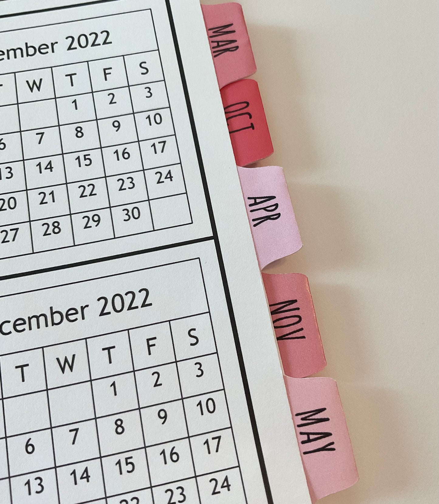 NAIL GRAPHICS DESIGN - REDS - 12 Month Dated Appointment Book With Business Organizer/Planner + UPGRADE OPTIONS