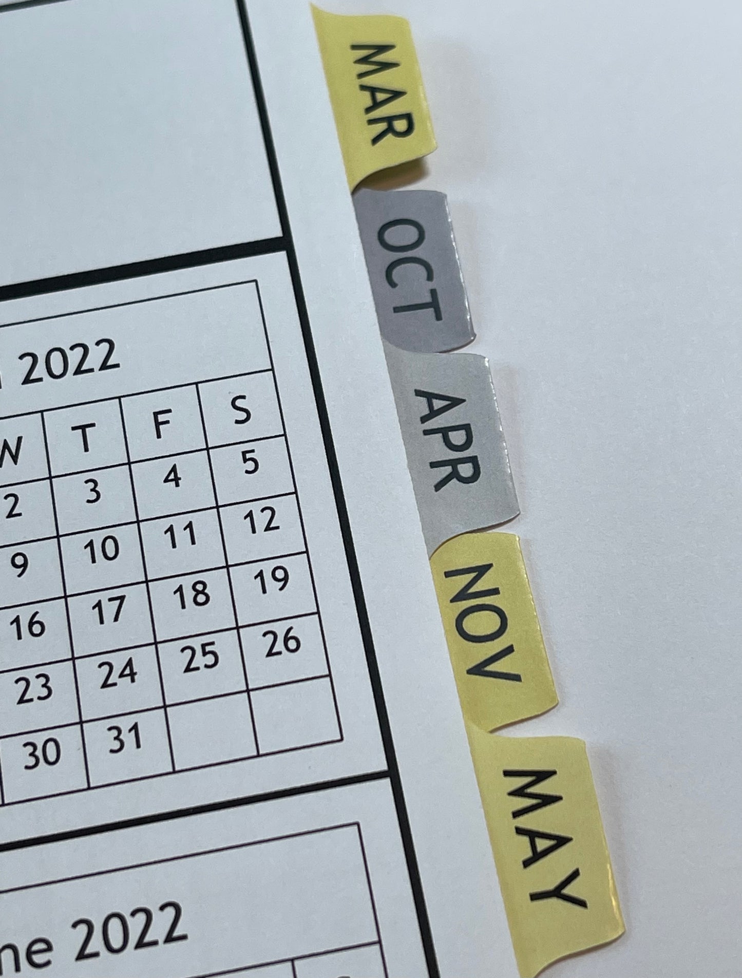 DAISY ON POSTCARD DESIGN- Standard 12 Month Appointment Book - Start Any Month - 3 Sizes with Optional Income & Expenses Tracking