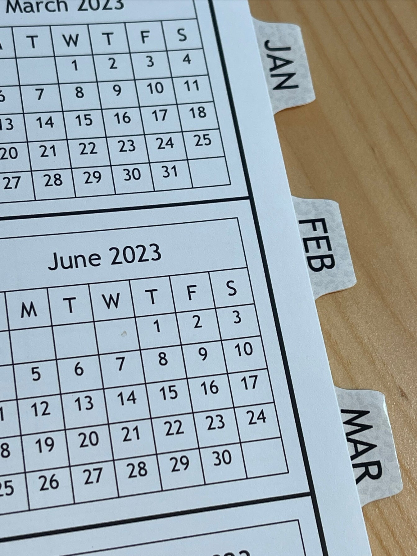 WHITE LEOPARD DESIGN - Standard 12 Month Appointment Book - Start Any Month - 3 Sizes with Optional Income & Expenses Tracking