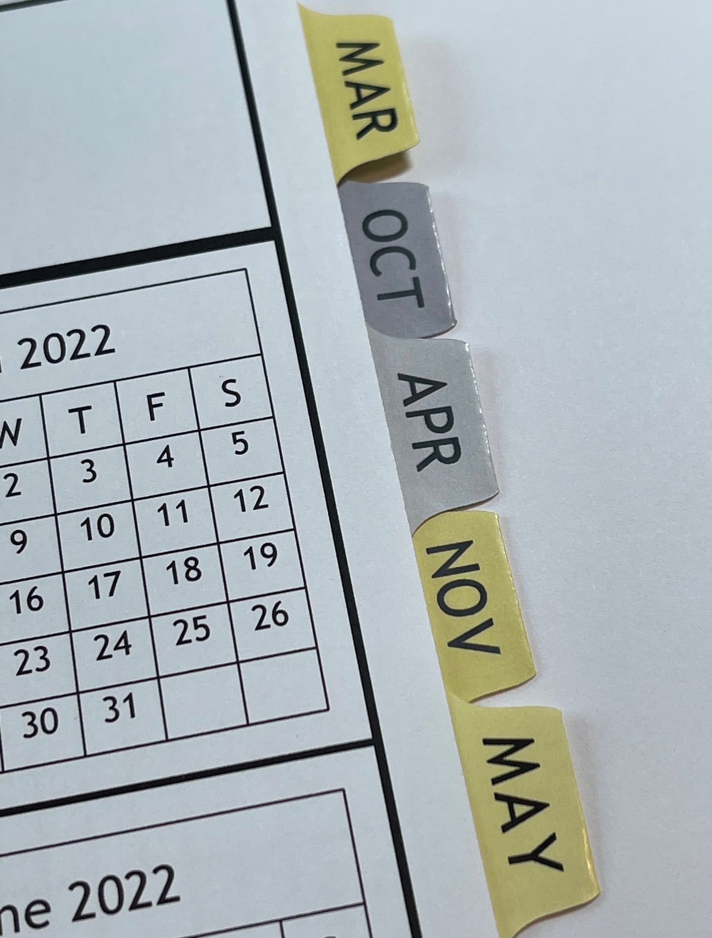 DAISY DESIGN - 12 Month Dated Appointment Book With Business Organizer/Planner + UPGRADE OPTIONS